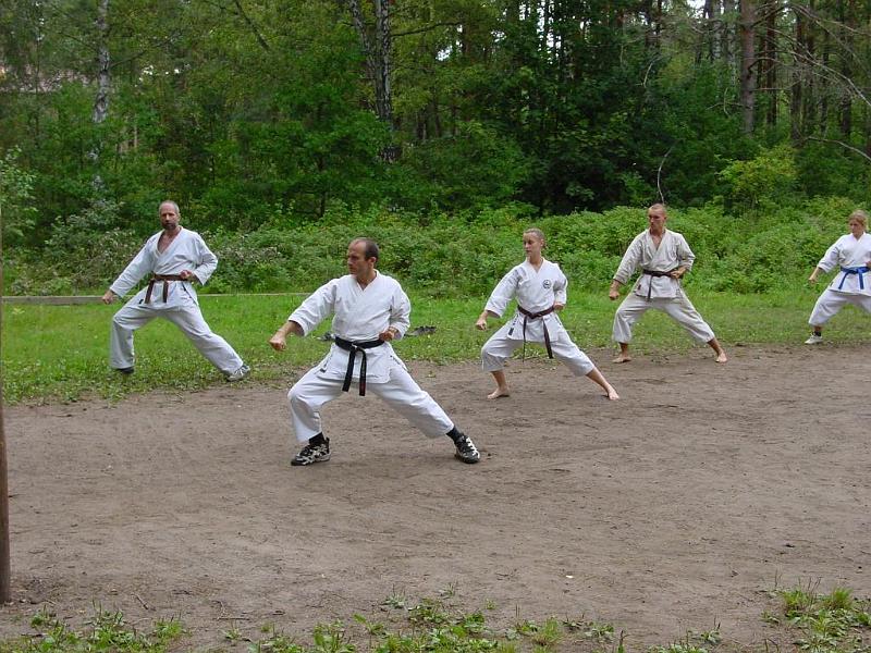 Heian Shodan 1.jpg